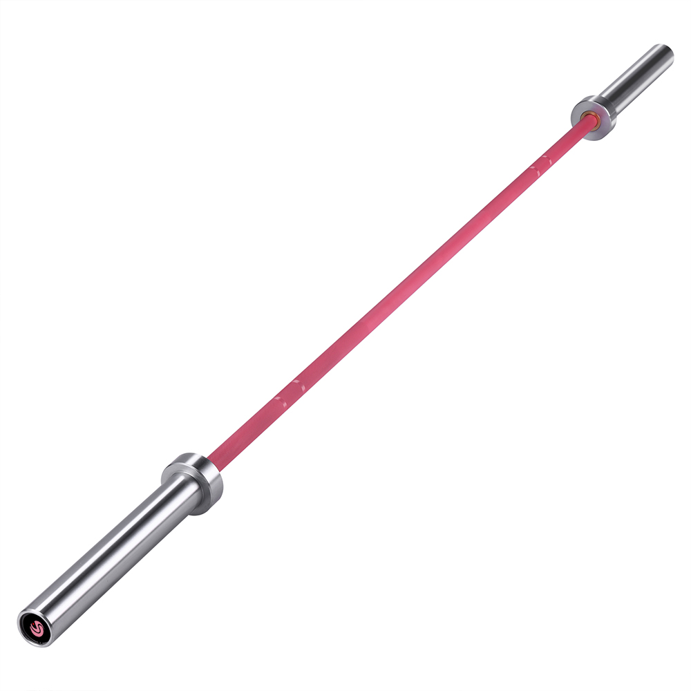 Barbell Curl Bar - Équipement de fitness, barre de musculation