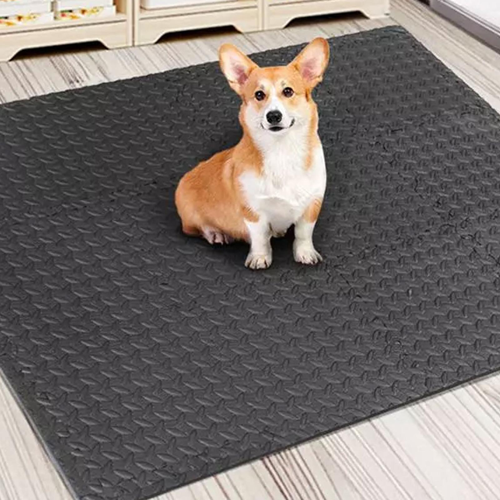 Home Gym For Toddlers - Tapis d'exercice Puzzle 12 pièces, coussin