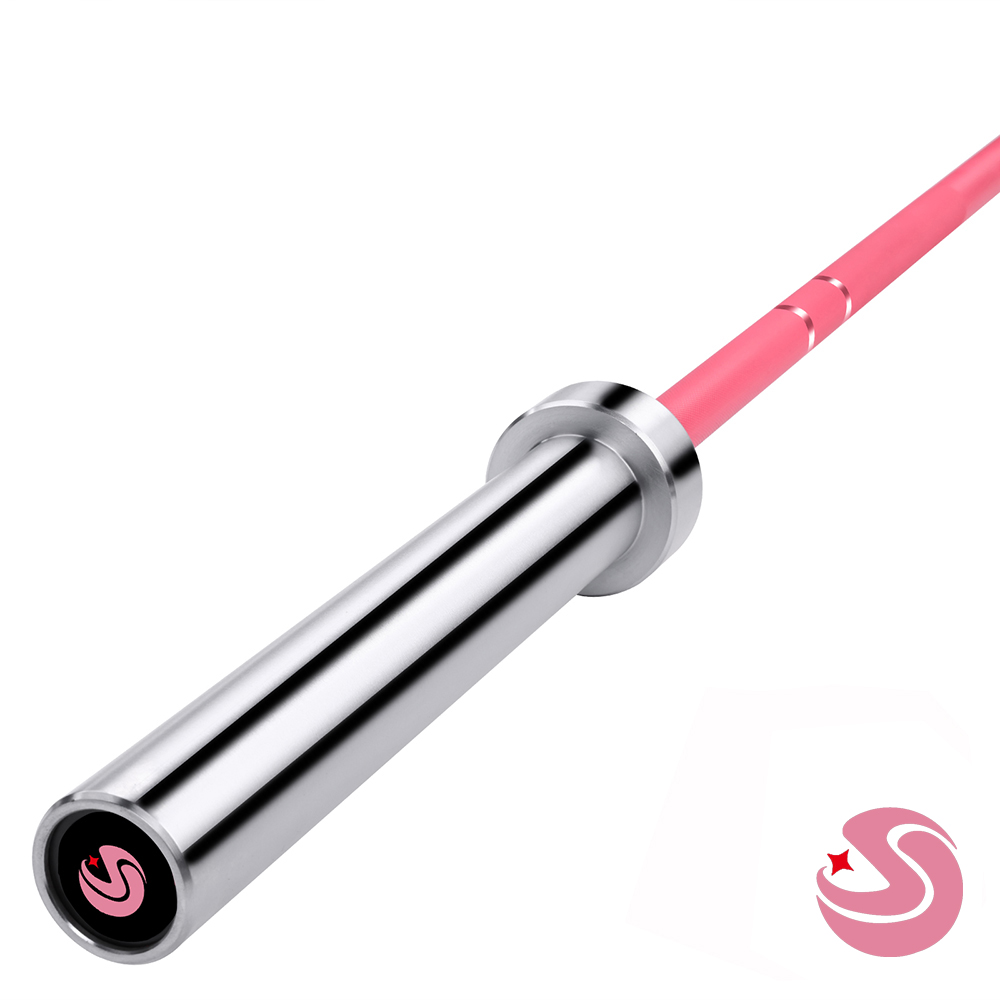 Équipement de fitness, barre d - Barbell Curl Bar avis et prix