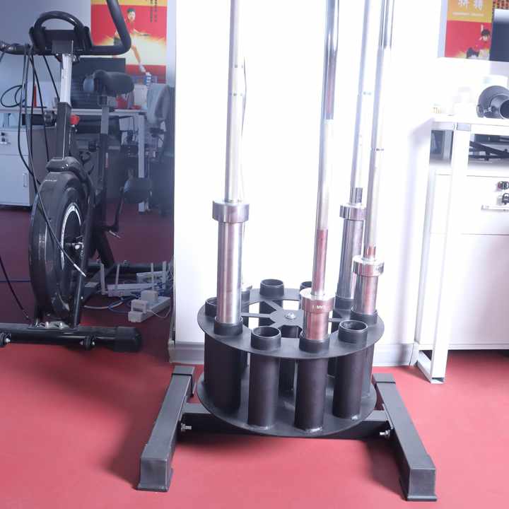Support de rangement et d'orga - Barbell Curl Bar avis et prix